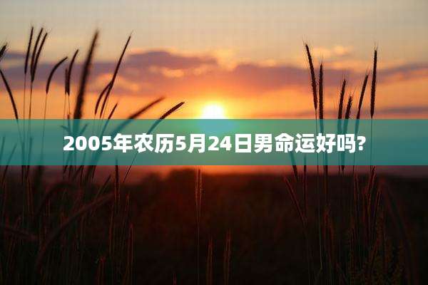 2005年农历5月24日男命运好吗?