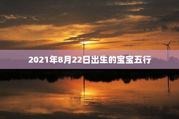 2021年8月22日出生的宝宝五行