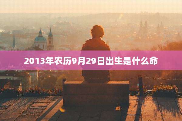 2013年农历9月29日出生是什么命