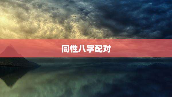 同性八字配对