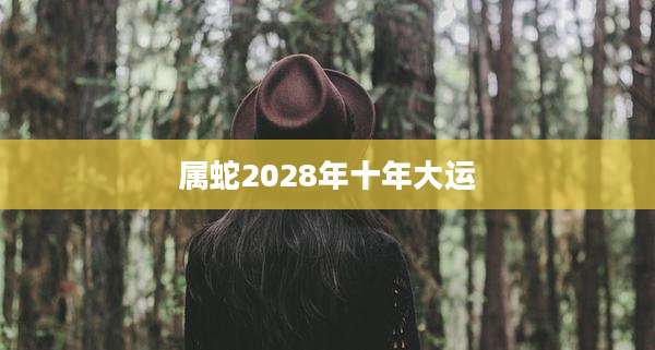 属蛇2028年十年大运