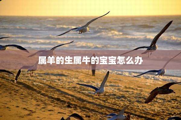 属羊的生属牛的宝宝怎么办