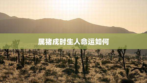 属猪戍时生人命运如何