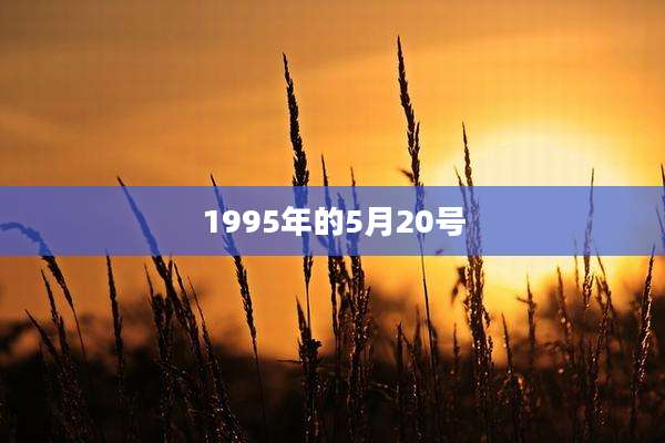 1995年的5月20号