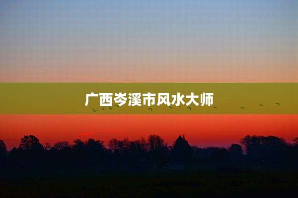 广西岑溪市风水大师