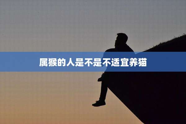 属猴的人是不是不适宜养猫