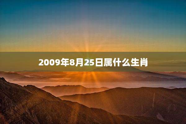 2009年8月25日属什么生肖