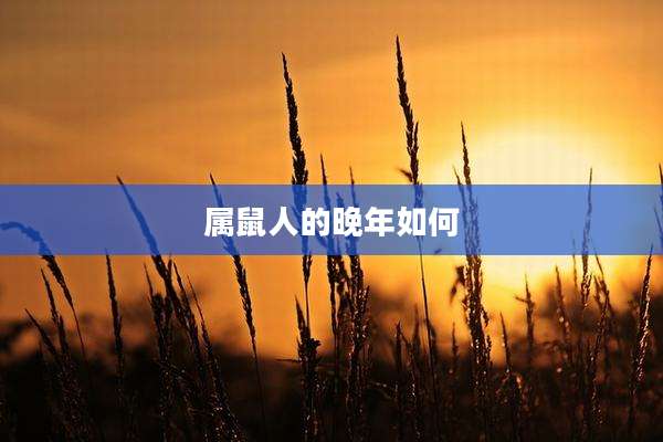属鼠人的晚年如何