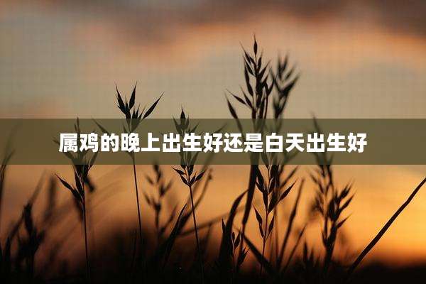 属鸡的晚上出生好还是白天出生好