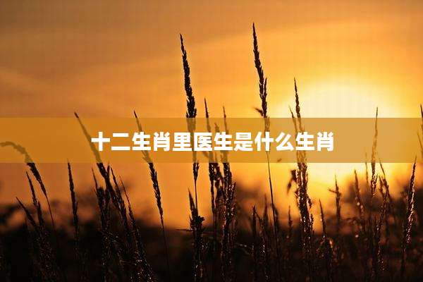 十二生肖里医生是什么生肖