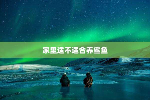 家里适不适合养鲨鱼