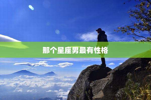 那个星座男最有性格