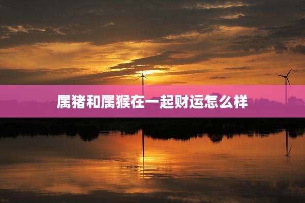 属猪和属猴在一起财运怎么样