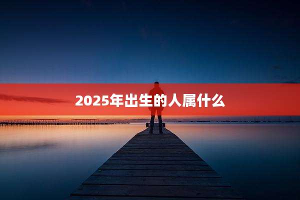 2025年出生的人属什么