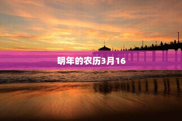 明年的农历3月16