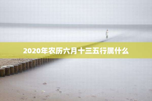 2020年农历六月十三五行属什么