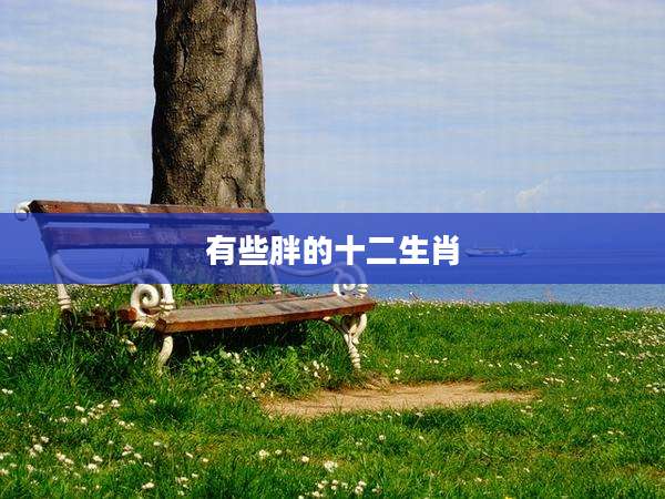 有些胖的十二生肖
