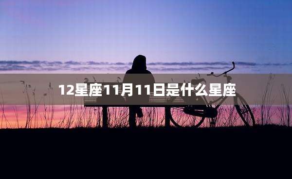 12星座11月11日是什么星座
