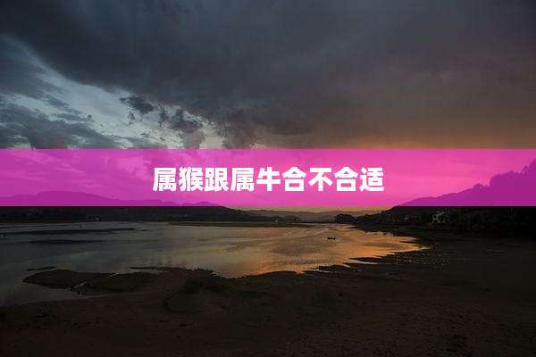 属猴跟属牛合不合适