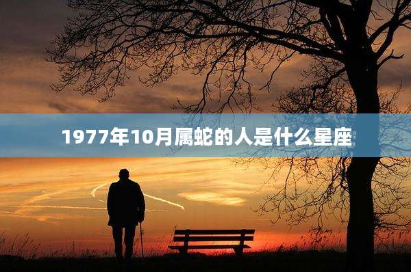1977年10月属蛇的人是什么星座