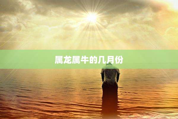 属龙属牛的几月份