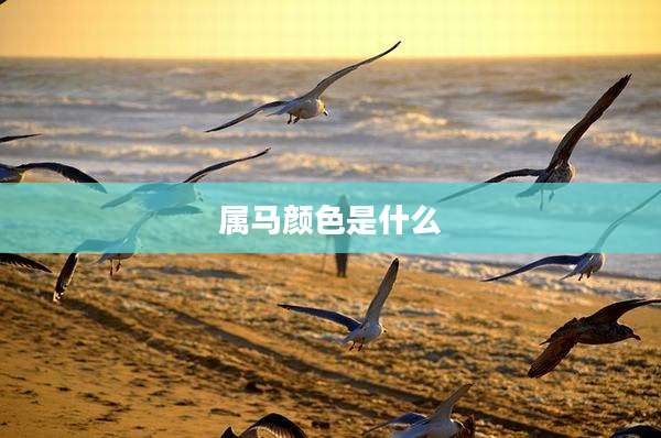 属马颜色是什么