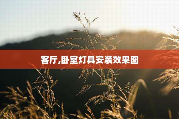 客厅,卧室灯具安装效果图
