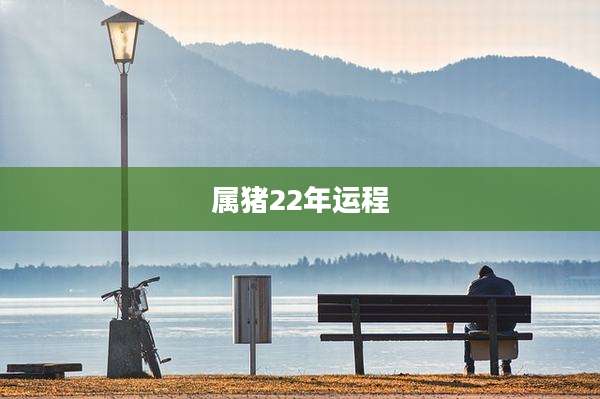 属猪22年运程
