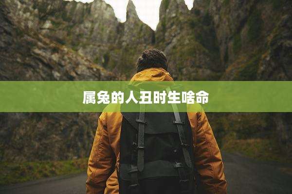 属兔的人丑时生啥命