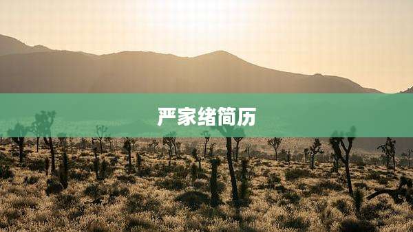 严家绪简历