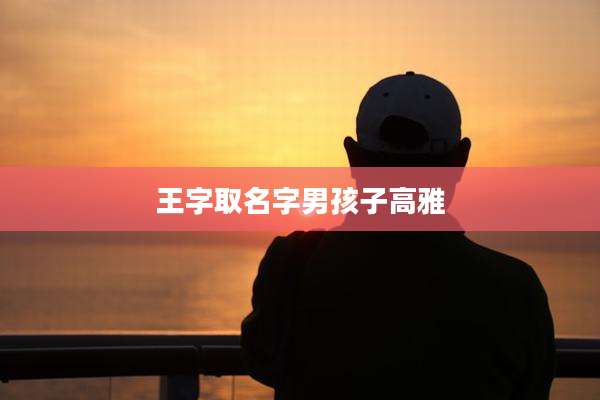 王字取名字男孩子高雅