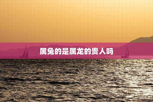 属兔的是属龙的贵人吗