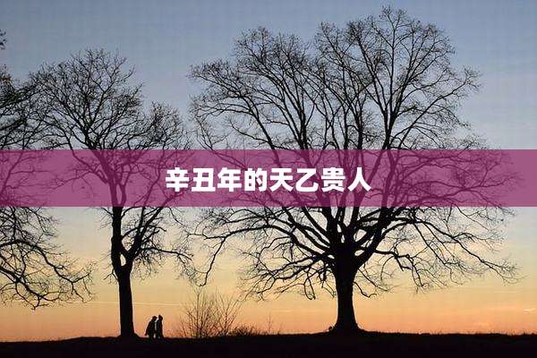 辛丑年的天乙贵人