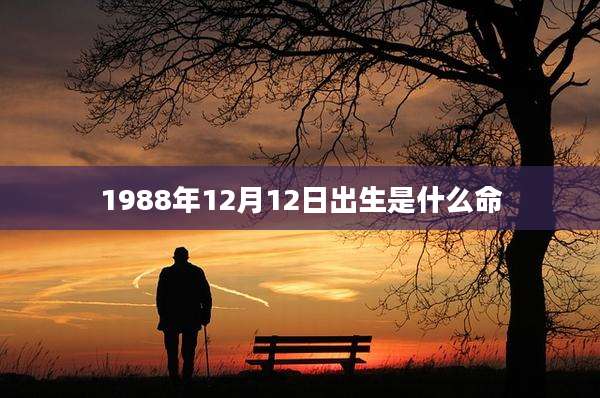 1988年12月12日出生是什么命