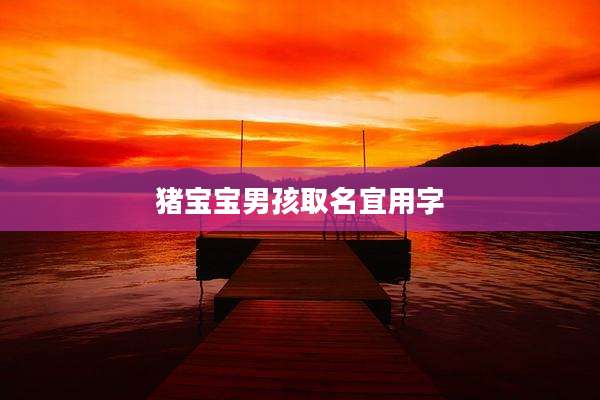猪宝宝男孩取名宜用字