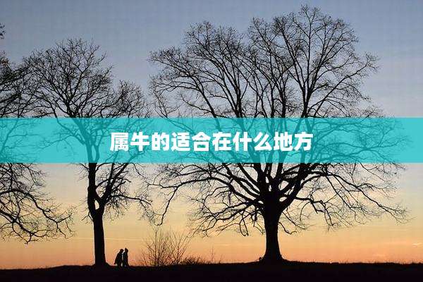 属牛的适合在什么地方