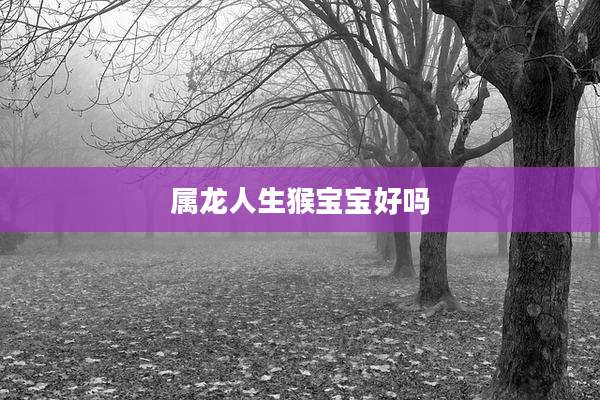 属龙人生猴宝宝好吗