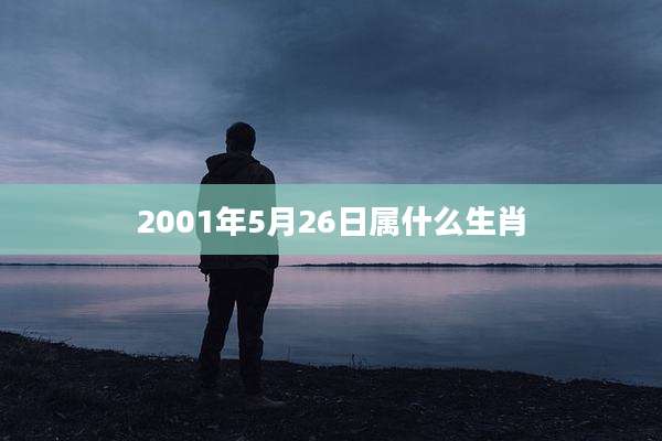 2001年5月26日属什么生肖