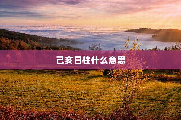己亥日柱什么意思
