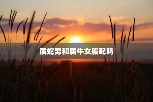 属蛇男和属牛女般配吗