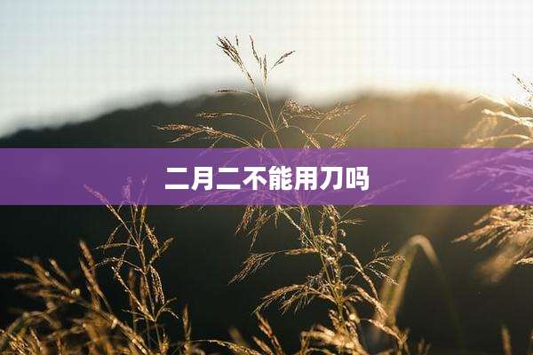 二月二不能用刀吗