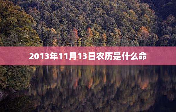 2013年11月13日农历是什么命