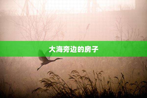 大海旁边的房子