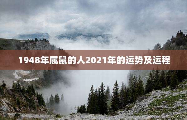 1948年属鼠的人2021年的运势及运程