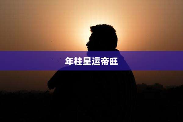 年柱星运帝旺