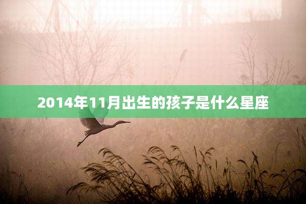 2014年11月出生的孩子是什么星座