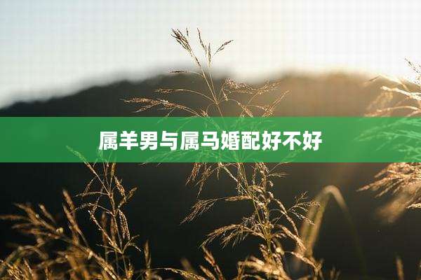 属羊男与属马婚配好不好