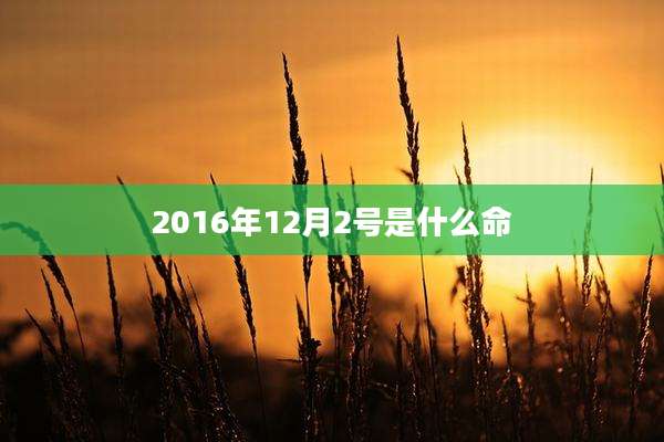 2016年12月2号是什么命