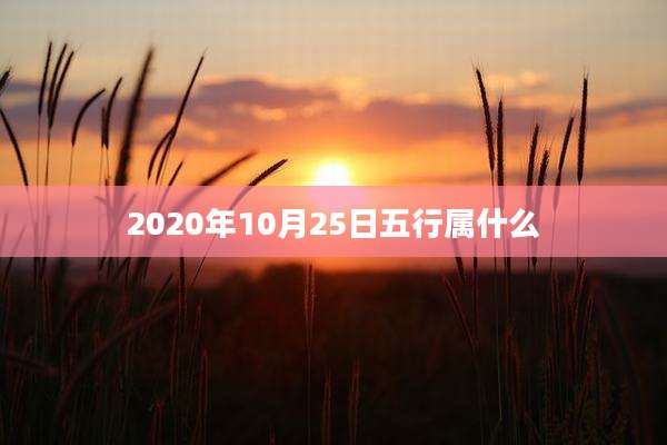 2020年10月25日五行属什么