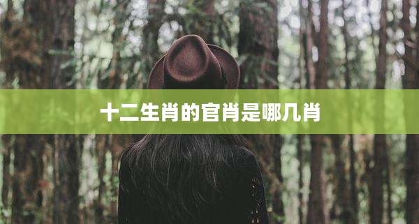 十二生肖的官肖是哪几肖